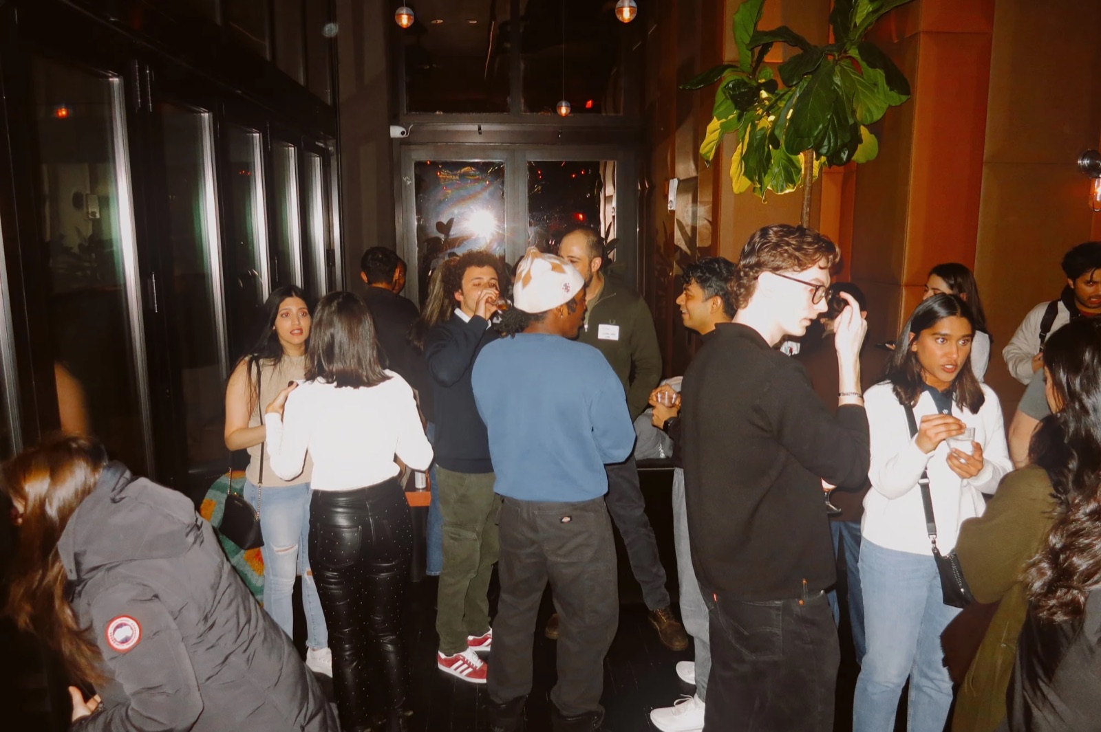 Groups of designers mingling by the entrance beneath a fiddle-leaf fig